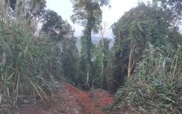 Tai nạn kinh hoàng ngày đầu năm: Xe lao xuống vực sâu 70m, 6 người chết