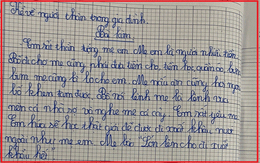 Học sinh tiểu học làm văn tả mẹ đúng chuẩn ‘nóc nhà’, mơ ước công việc tương lai gây ngỡ ngàng