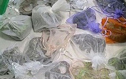 Người đàn ông nhét 52 con rắn và thằn lằn trong quần
