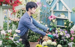 Khu vườn hoa trên tầng 32 của chàng trai trẻ khiến các chị em phải xuýt xoa bởi tài chăm bón quá đỉnh