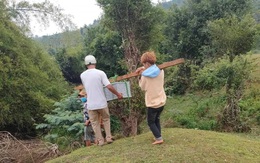 Phát hiện thi thể bé gái sơ sinh bên bờ suối