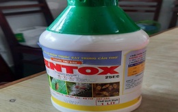 Bố pha nước ngọt với thuốc sâu rồi bảo con 6 tuổi uống
