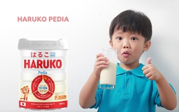 Haruko Pedia tinh chất tổ yến Nhật Bản mới – Bé mát bụng, tăng cân và phát triển toàn diện