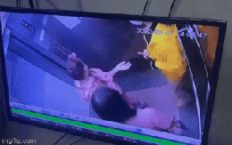 Người phụ nữ dùng chân làm 1 việc trong thang máy, xem camera toàn bộ cư dân nổi đoá