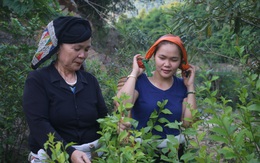 Nơi gìn giữ những bài thuốc quý của người Thái đen