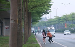 Hà Nội: Bất chấp nguy hiểm, nhiều người ra giữa đường chụp ảnh với hàng cây bàng lá nhỏ