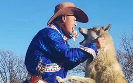 Người đàn ông nuôi dưỡng 5 con sói nhỏ, ngày lâm chung cả đàn sói tới đưa tang