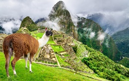 Đất nước Peru xinh đẹp - nơi không thể bỏ qua với những ai yêu thích du lịch mạo hiểm 
