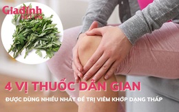 4 vị thuốc dân gian được dùng nhiều nhất để trị viêm khớp dạng thấp