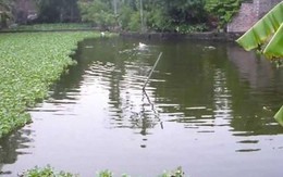 Phát hiện thi thể người đàn ông dưới vuông tôm ở Cà Mau