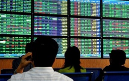 ‘Thông điệp của Chính phủ rất rõ ràng: Bảo vệ các doanh nghiệp và nhà đầu tư’