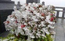 Fansipan xuất hiện băng giá đầu tháng 4