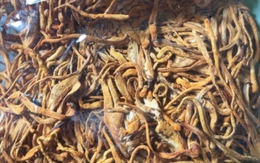 Cẩn trọng khi mua sản phẩm hỗ trợ sức khỏe giá rẻ