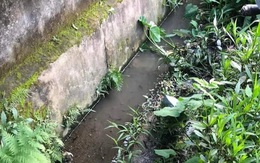 Bố tử vong khi đưa đón con đi thi