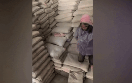 Cụ bà bốc dỡ 1 tấn xi măng kiếm 30 nghìn phụ gia đình: 'Cụ tự nguyện, muốn được đi làm”