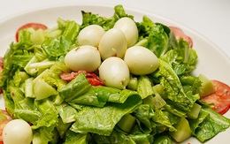 Đã miệng, ngon mắt với những món salad thanh mát làm rất nhanh, dễ ăn nhất cho người bận rộn