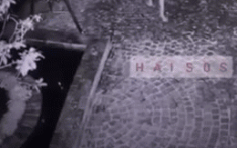 Tên trộm lẻn vào nhà và động tác lạ trước khi "hành sự" khiến gia chủ thất kinh