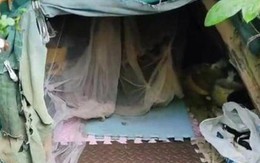 Người đàn ông sống trên núi 20 năm, dựng bạt làm nhà