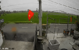 Bất cẩn khi sang đường, bé trai bị xe tải hất văng khiến nhiều người kinh hãi