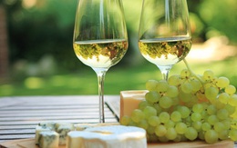 Những người tuyệt đối không nên uống rượu vang
