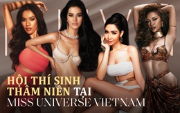 Hội "thâm niên" tại Miss Universe: Hương Ly, Hoàng Phương quay lại phục thù, 1 mỹ nhân đạt Top 10 quốc tế nhưng vẫn muốn "giựt vương miện"