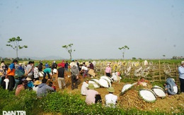 Tang thương cảnh một chiếc xe tang quay vòng đưa 5 nữ sinh ra nghĩa trang