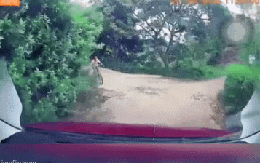 Bé trai bị ô tô tông, ngã đập mặt đau đớn, phản ứng 10 giây sau đó khiến tài xế khó hiểu