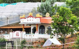 Vụ giết vợ, chôn xác phi tang: Thủ đoạn đánh lạc hướng của gã con rể