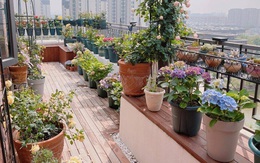 Một năm trồng được hơn 200 chậu cây, người mẹ trẻ biến hiên nhà thành khu vườn trên cao khiến ai nấy đều thấy ngỡ ngàng