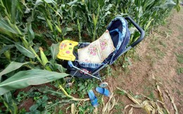 Nữ giáo viên mất tích ở sông cùng 2 con nhỏ: Hình ảnh cuối gây ám ảnh