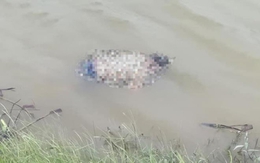 Xót xa hình ảnh người mẹ ôm con tự vẫn: Phút quẫn trí hay tận cùng tội ác?