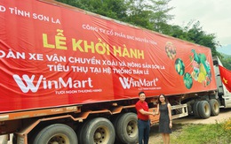 WinCommerce cam kết tiêu thụ 400 - 500 tấn xoài Sơn La