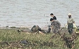 Phát hiện thi thể nam trên biển Nam Định