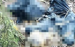 Đà Lạt: Phát hiện thi thể nam giới đang phân hủy trong rừng