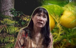 Ngoài dương xỉ, lạc tiên, những cây nào có thể ăn giúp sống sót nếu lạc trong rừng hoặc rơi xuống vực sâu? Đặc biệt lưu ý 6 loại quả tuyệt đối không ăn kẻo trúng độc