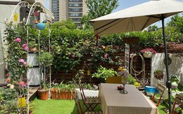 Cặp vợ chồng chi gần 200 triệu cải tạo sân vườn rộng 40m², nhìn vào thành quả mới thấy hoàn toàn đáng giá
