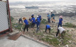 Thanh Hoá: Xã Ngư Lộc ra quân dọn rác dọc bờ biển sau phản ánh