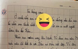 Bài văn tả về hàng xóm chân thật đến từng chi tiết: Trên đầu chỉ có 10 - 15 cái tóc, đọc đến câu cuối mà sốc luôn