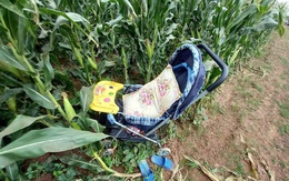 Vụ nữ giáo viên mất tích ở bờ sông cùng 2 con nhỏ: Hé lộ tin nhắn gửi cho gia đình, đồng nghiệp