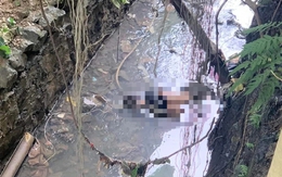 Phát hiện thi thể nam thanh niên dưới mương nước