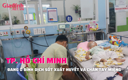 NÓNG: TP. Hồ Chí Minh đang ở đỉnh dịch của sốt xuất huyết và chân tay miệng