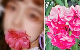 Trả giá vì trào lưu ngậm hoa có độc chụp ảnh