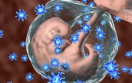 Phòng và điều trị virus viêm gan B truyền từ mẹ sang con