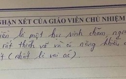 Nhận xét của giáo viên khiến học sinh “cười ra nước mắt”, không biết là khen hay chê nhỉ?