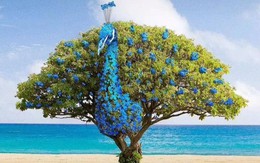 Trắc nghiệm tâm lý: Bạn nhìn thấy cái cây hay con công đầu tiên trong tranh?