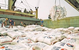 Cơn sốt giá lan trên toàn cầu, Việt Nam sở hữu ‘kho hàng’ 28 triệu tấn