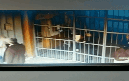 Xôn xao clip nam phạm nhân cải trang thành nữ thoát khỏi trại giam