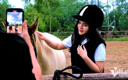 Tập làm 'quý tộc': Trăm triệu mua ngựa, tháng gần chục triệu nuôi, tập 1 buổi mất cả triệu