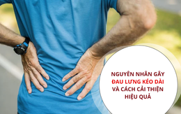 Điểm danh 8 nguyên nhân gây đau lưng thường gặp