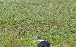 Nam công nhân tử vong bất thường trong tư thế nằm nghiêng